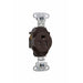 Pass And Seymour Receptacle Single Tamper-Resistant 15A/125V Brown (TR5251)