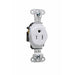 Pass And Seymour Receptacle Single Tamper-Resistant 15A/125V White (TR5251W)