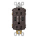 Pass and Seymour Self-Test GFCI Receptacle Tamper-Resistant 15A With USB Type AA Brown  (1597TRUSBAA)