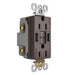 Pass and Seymour Self-Test GFCI Receptacle Tamper-Resistant 15A With USB Type AA Brown  (1597TRUSBAA)