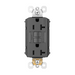 Pass And Seymour Self-Test PlugTail GFCI Receptacle 20A Black (PT2097BK)