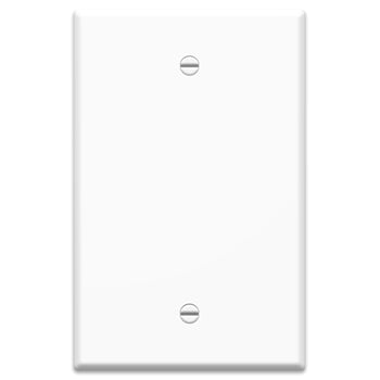 Pass And Seymour 1-Gang Oversized Wall Plate Blank White (WP3300WH)