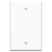 Pass And Seymour 1-Gang Oversized Wall Plate Blank White (WP3300WH)