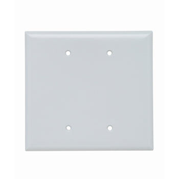 Pass And Seymour Smooth Plastic Jumbo 2-Gang Blank White (SPO23W)