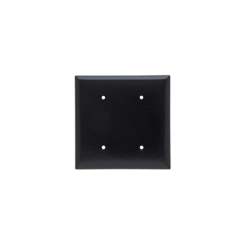 Pass And Seymour Smooth Wall Plate 2-Gang Blank Strap Mount Black (SP24BK)