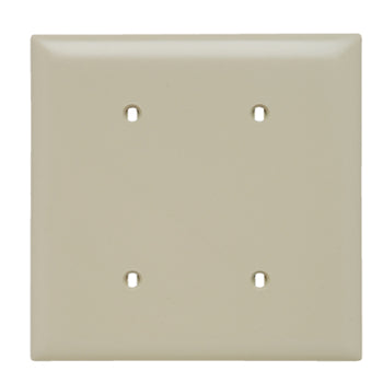 Pass And Seymour Smooth Wall Plate 2-Gang Blank Strap Mount Ivory (SP24I)