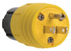 Pass And Seymour Straight Blade IP67 Plug 15A 125V 5-15P (14W47)