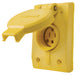 Pass And Seymour Straight Blade Single Receptacle IP67 15A 125V 515R (60W47)