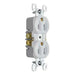 Pass And Seymour Tamper-Resistant Duplex Receptacle 15A125V (3232TRW)
