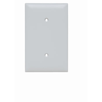 Pass And Seymour Trademaster Plate 1-Gang Blank Strap Mount White (TP14W)