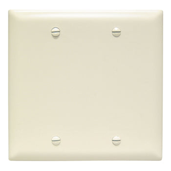 Pass And Seymour Trademaster Plate 2-Gang Blank Box Mount Light Almond (TP23LA)