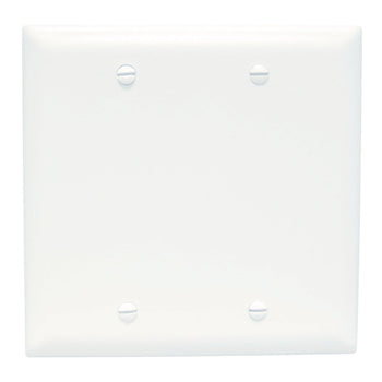 Pass And Seymour Trademaster Plate 2-Gang Blank Box Mount White (TP23W)