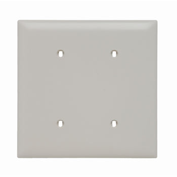 Pass And Seymour Trademaster Plate 2-Gang Blank Strap Mount Light Almond (TP24LA)
