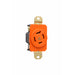 Pass And Seymour Turnlok Single Receptacle 4W 20A 125/250V Isolated Ground (IGL1420R)