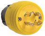 Pass And Seymour Turnlok Plug IP67 4W 30A 120/208V Non-NEMA (28W09)