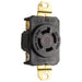 Pass And Seymour Turnlok Single Receptacle 4W 20A 125/250V (L1420R)