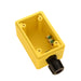 Pass And Seymour Yellow Back Box Deep 1/2 Inch Duplex Receptacle (FD21)