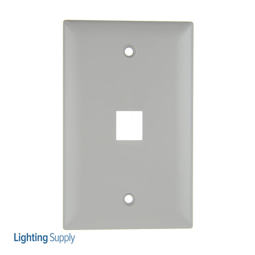 Pass And Seymour 1-Gang Wall Plate 1-Port Gray (WP3401GY)