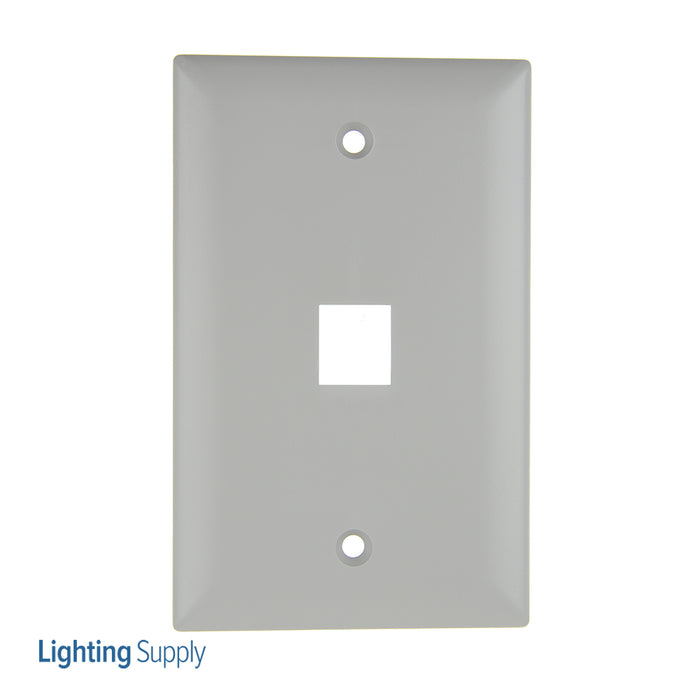 Pass And Seymour 1-Gang Wall Plate 1-Port Gray (WP3401GY)