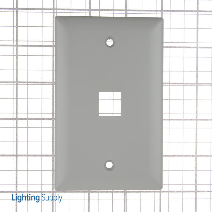 Pass And Seymour 1-Gang Wall Plate 1-Port Gray (WP3401GY)