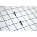 Pass And Seymour 1-Gang Blank Stainless Box Mount (SS13)