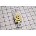 Pass And Seymour Receptacle Single 20A 125V Side And Back Wire Ivory (5361I)