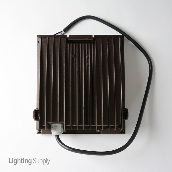 Performance In Lighting Guell 1 SYM LED Floodlight (070218-IR)