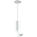 RAB L Size Pendant Mount Kit White (PIVOTL-PM-KIT)