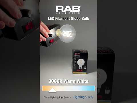 RAB Filament G25 3.8W 40W Equivalent 350Lm E26 Base 90 CRI 2200K-3000K Dimmable Clear (G25-3-E26-922/30-F-C-WGD)