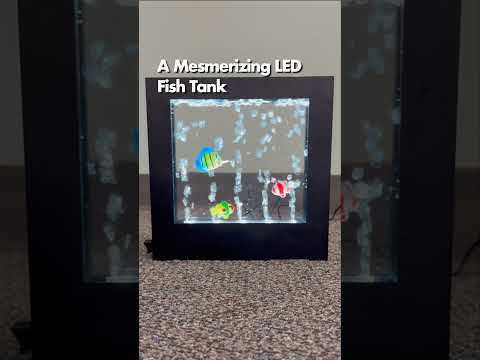 Aquarium Light Box Video