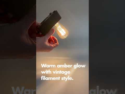 Halco ST19AMB5ANT/822/LED2 ST19 5.5W Amber 2200K Dimmable Filament E26 ProLED (85044)