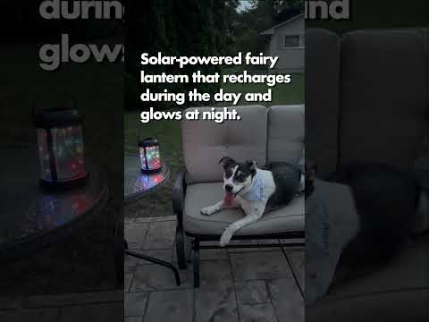 Feit Electric 4 Inch Solar Powered Round Outdoor Fairy LED Lantern (LAN4RND/FY/SOL/V1) VIDEO
