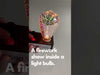Feit Electric Infinity 3D Fireworks Effect LED ST19 Light Bulb (ST19/PRISM/LED/RP) VIDEO