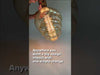 Bee Hive Shaped Large Light Bulb