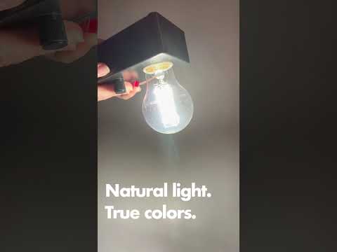 Sylvania LED8A19DIMCL95013YTLRP4 LED Natural Truwave A19 8W Dimmable 90 CRI 800Lm 5000K 15000 Hours Medium Base Clear Finish 4 Pack/Priced Per Each (49827) VIDEO