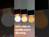Bulbrite LED9A19/30K-18K/WMDM/FIL/M 9W LED A19 3000K-1800K Filament Bulb Milky Warm Dimming 120V E26 Base (776400) Video