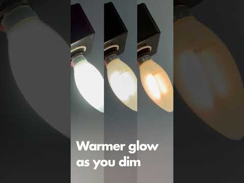 Philips 575191 5W B11 LED Lamp Video