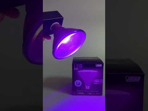 Feit Electric Purple PAR38 Non-Dimmable LED Reflector Light Bulb (PAR38/P/10KLED/BX) Video