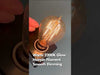 Bulbrite NOS25ST15/SQ/E12 25W ST15 Nostalgic Thread E12 120V 2200K (132510) Video