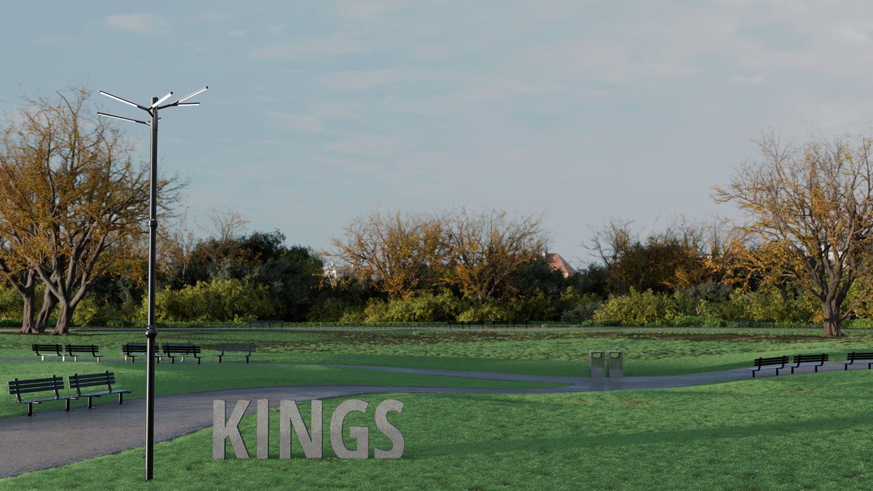 Westgate Manufacturing Tree Of Light A Natural Designer Light Structure For Open Areas 150W CCT Selectable 3000K/4000K/5000K 100-277V Black (TOL-KINGS-BK)