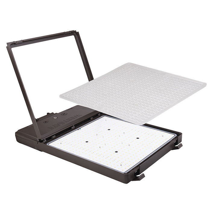 Westgate Manufacturing Maximum Feature Area Flood Wattage/CCT Selectable 250W/350W/450W 3000K/4000K/5000K T3 Rotatable Photocell And Sensor-Ready (LFXMAX-XXL-250-450W-MCTP-PSR)