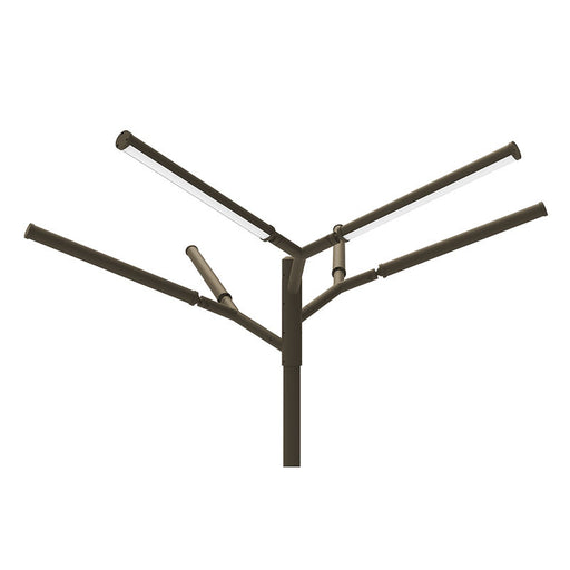 Westgate Manufacturing Tree Of Light A Natural Designer Light Structure For Open Areas 150W CCT Selectable 3000K/4000K/5000K 100-277V Bronze (TOL-KINGS-BR)