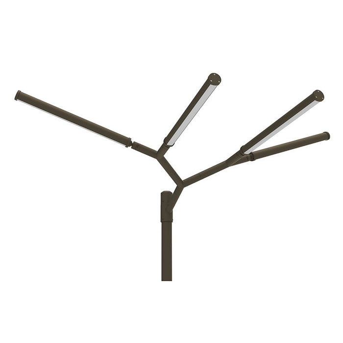 Westgate Manufacturing Tree Of Light A Natural Designer Light Structure For Open Areas 100W CCT Selectable 3000K/4000K/5000K 100-277V Bronze (TOL-SEQUOIA-BR)
