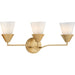 Progress Lighting Pinellas Collection 3-Light Bath /Vanity Light Soft Gold Finish Opal Glass (P300497-205)