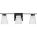 Progress Lighting Tanner Collection 3-Light Bath /Vanity Light Matte Black Finish Etched Glass (P300501-31M)