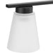 Progress Lighting Tanner Collection 4-Light Bath /Vanity Light Matte Black Finish Etched Glass (P300502-31M)