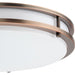 Progress Lighting Abide Collection 14 Inch Round LED Flush Mount Fixture CCT Selectable 2700K/3000K/3500K/4000K/5000K Urban Bronze (P350275-174-CS)