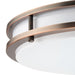 Progress Lighting Abide Collection 14 Inch Round LED Flush Mount Fixture CCT Selectable 2700K/3000K/3500K/4000K/5000K Urban Bronze (P350275-174-CS)