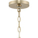 Progress Lighting Allegheny Collection 5-Light Chandelier Soft Gold Finish (P400391-205)