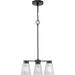 Progress Lighting Tanner Collection 3-Light Chandelier Matte Black Finish Etched Glass (P400400-31M)